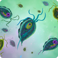 트리코모나스 질염